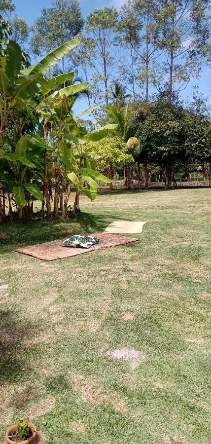 Cantinho Da Paz Ilheus Bagian luar foto